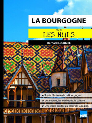 cover image of La Bourgogne pour les Nuls poche